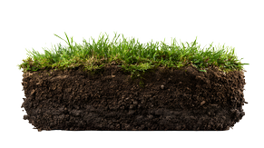 AdobeStock_1549451446_ Ayisha